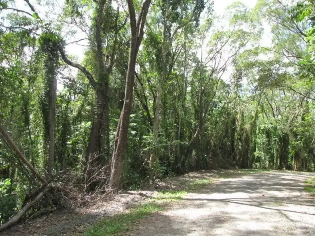 Third view of Homely land listing, Lot 36 Ronald Road, Daintree QLD 4873