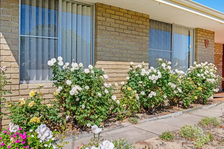 Third view of Homely house listing, 10 Mandarin Way, Seville Grove WA 6112