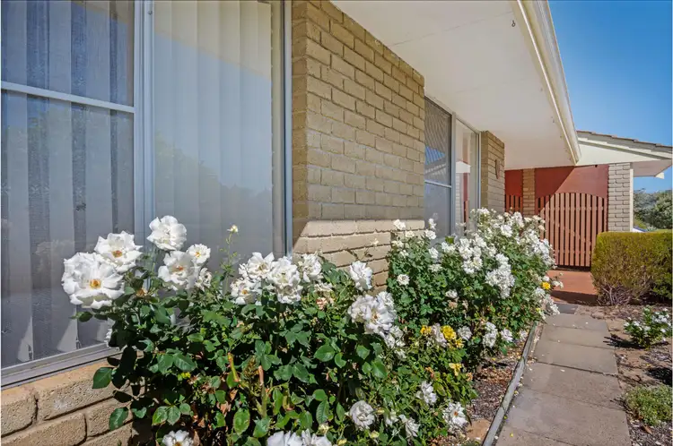 Fifth view of Homely house listing, 10 Mandarin Way, Seville Grove WA 6112