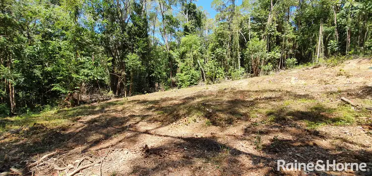 Third view of Homely land listing, Lot 37 Ronald Road FOREST CREEK, Daintree QLD 4873