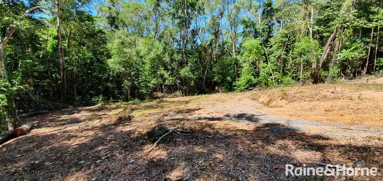 Fourth view of Homely land listing, Lot 37 Ronald Road FOREST CREEK, Daintree QLD 4873