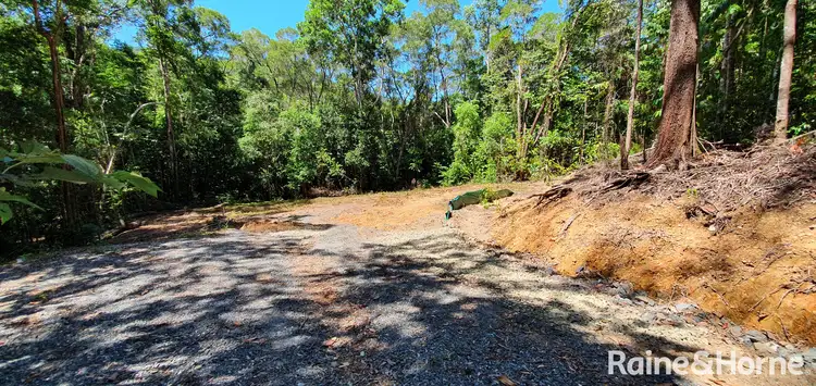 Seventh view of Homely land listing, Lot 37 Ronald Road FOREST CREEK, Daintree QLD 4873
