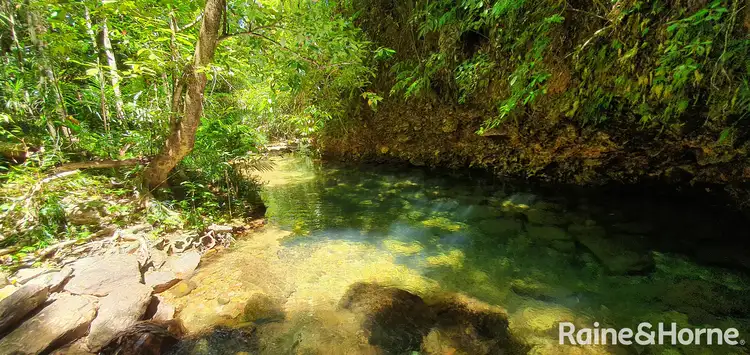 Second view of Homely house listing, 124 Thornton Peak Drive, FOREST CREEK, Daintree QLD 4873