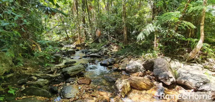 Third view of Homely house listing, 124 Thornton Peak Drive, FOREST CREEK, Daintree QLD 4873