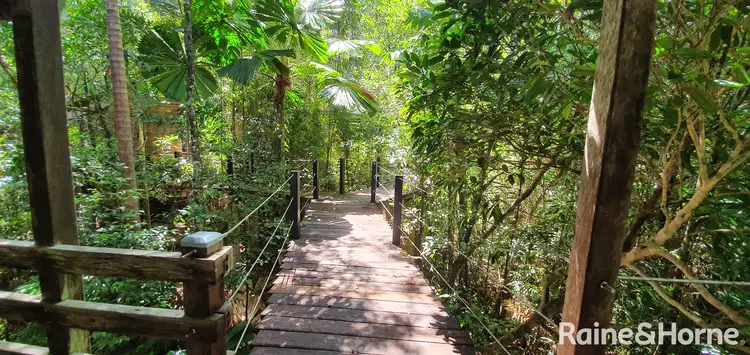 Fifth view of Homely house listing, 124 Thornton Peak Drive, FOREST CREEK, Daintree QLD 4873