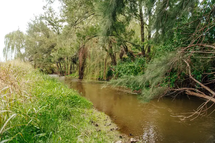 Seventh view of Homely rural property listing, 241 & 321 Loomberah Road, Tamworth NSW 2340