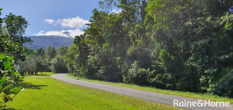 Fourth view of Homely land listing, 81 Cape Tribulation Road, DIWAN,, Daintree QLD 4873