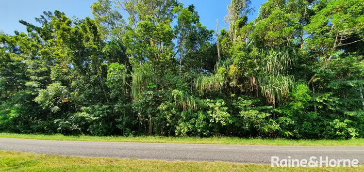 Fifth view of Homely land listing, 81 Cape Tribulation Road, DIWAN,, Daintree QLD 4873