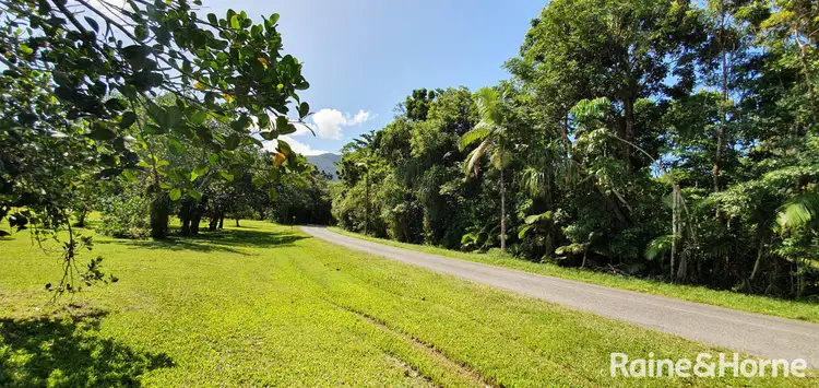Sixth view of Homely land listing, 81 Cape Tribulation Road, DIWAN,, Daintree QLD 4873
