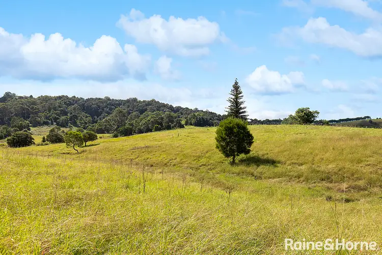 Third view of Homely land listing, 84 Devitts Lane, Jaspers Brush NSW 2535