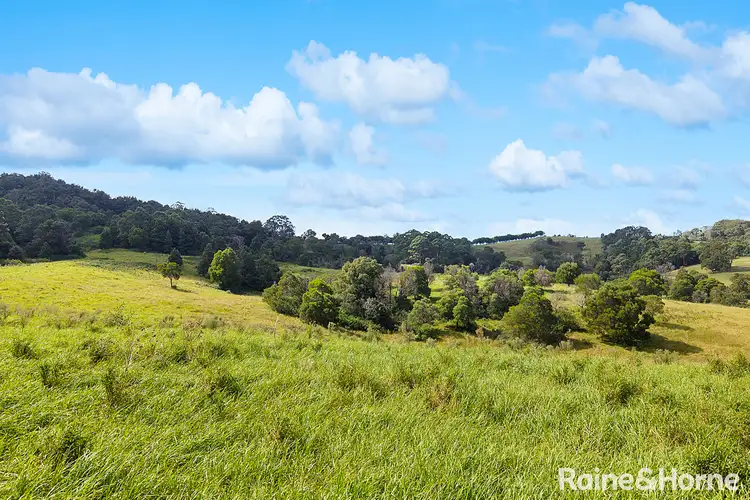 Sixth view of Homely land listing, 84 Devitts Lane, Jaspers Brush NSW 2535