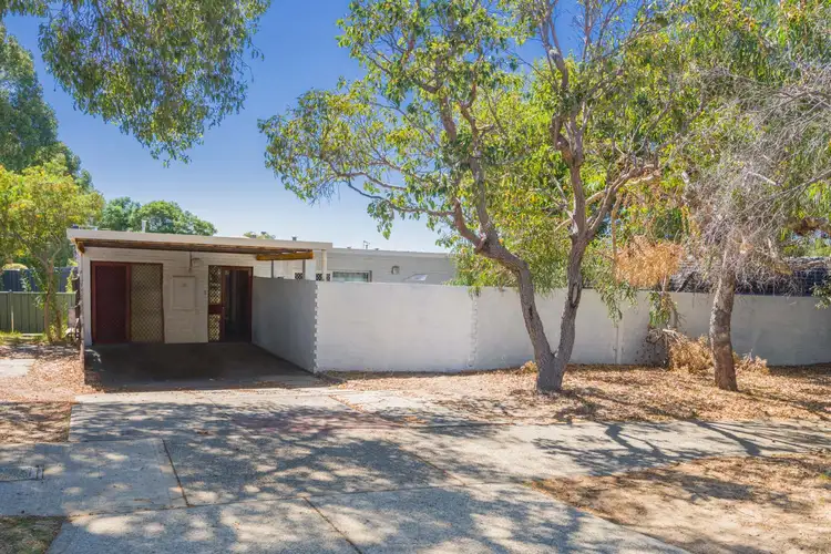 Second view of Homely house listing, 12 Holmes Place, Hilton WA 6163