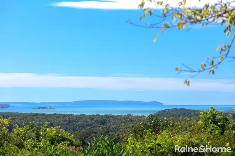 Fifth view of Homely house listing, 146 Princes Highway, Milton NSW 2538