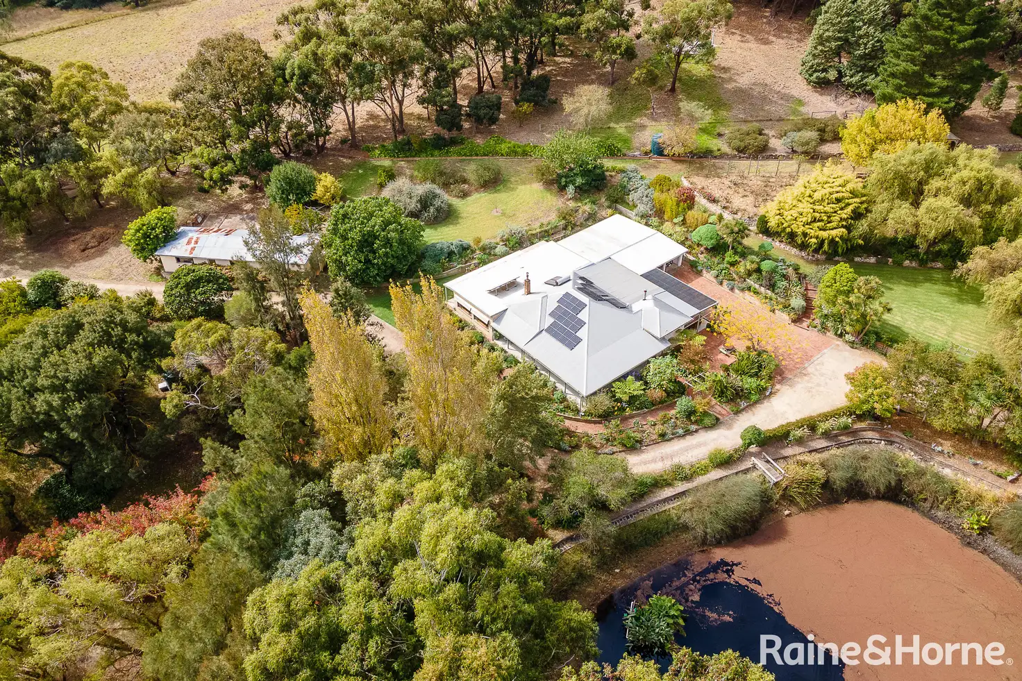 Main view of Homely house listing, 54 Pearson Road, Meadows SA 5201