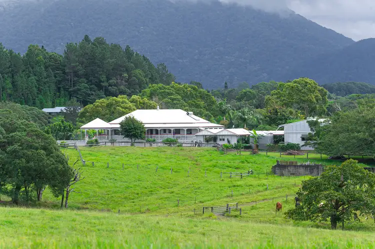 Second view of Homely house listing, 1253 Mossman Mount Molloy Road, Julatten QLD 4871