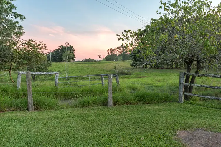 Fifth view of Homely house listing, 1253 Mossman Mount Molloy Road, Julatten QLD 4871