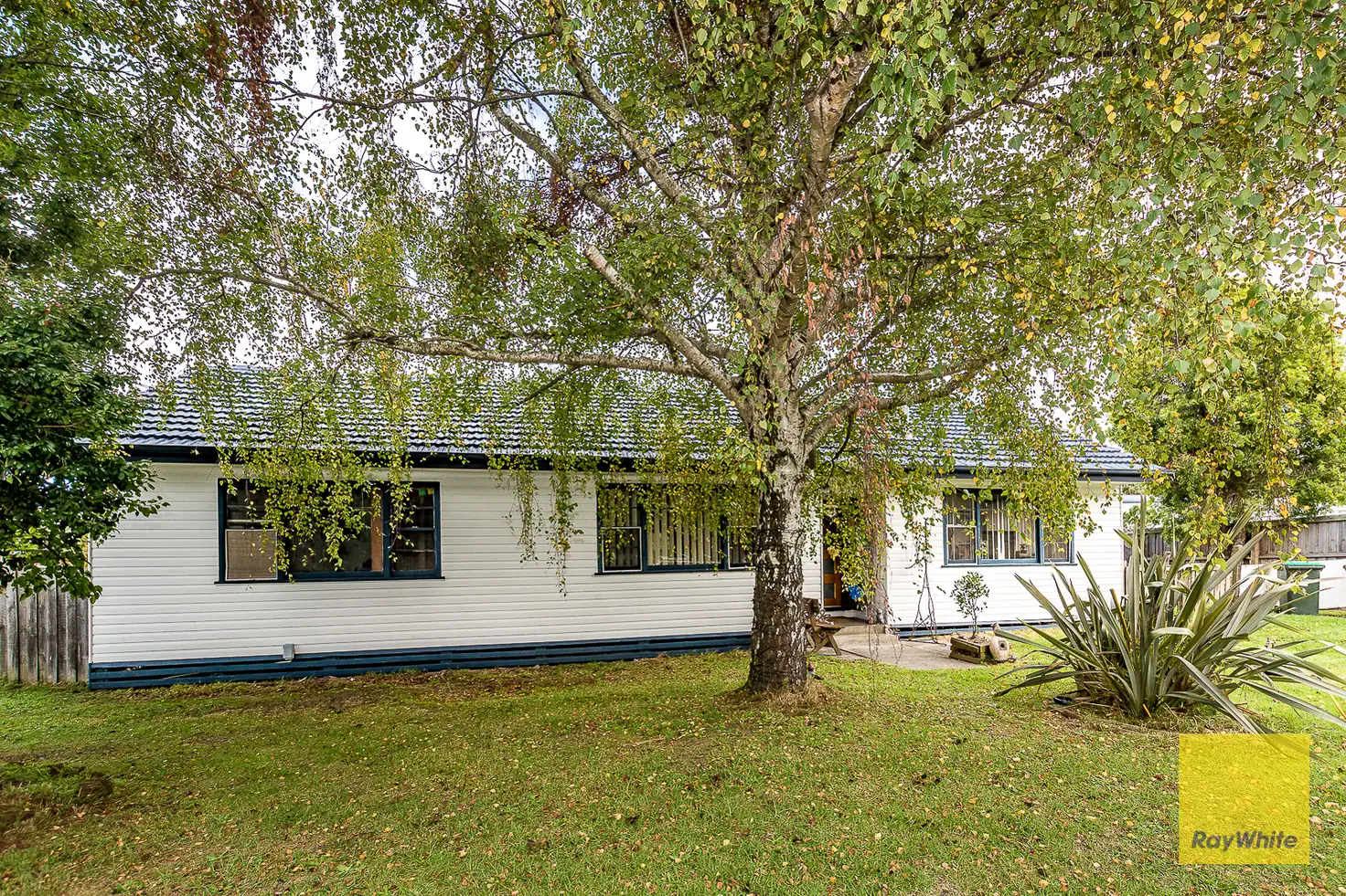Main view of Homely house listing, 14 Nelson St, Foster VIC 3960