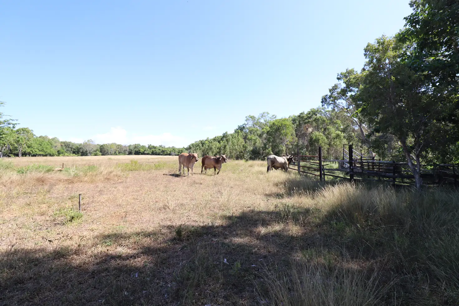 Main view of Homely land listing, 118 Trent Road, Alva QLD 4807