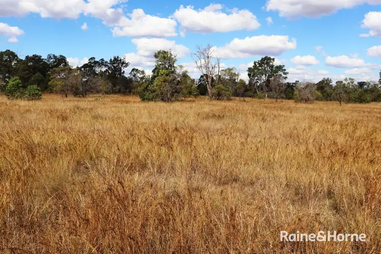 Second view of Homely rural property listing, 337 Mcphee Road, Durong QLD 4610