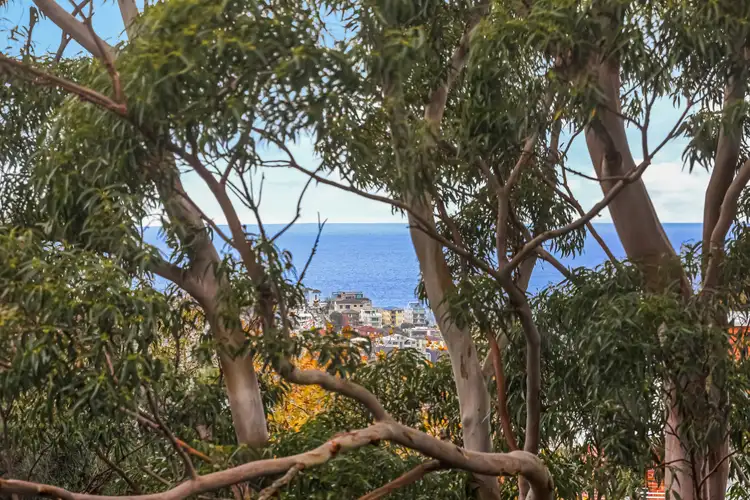 Fourth view of Homely apartment listing, 17/36 Penkivil Street, Bondi NSW 2026