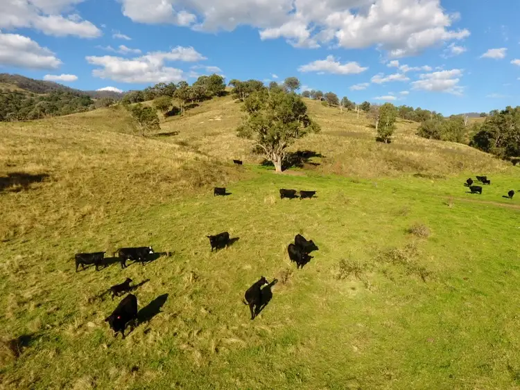 Second view of Homely rural property listing, "Creek Heights" 1497 Wallabadah Creek Road, Wallabadah NSW 2343