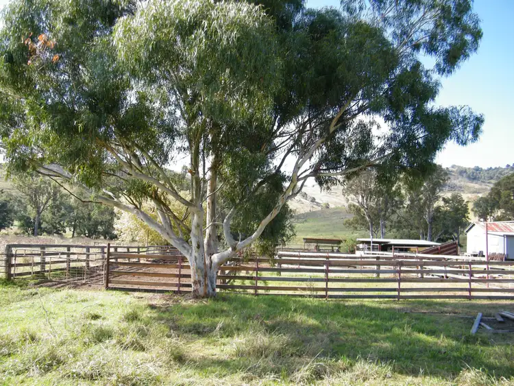 Fifth view of Homely rural property listing, "Creek Heights" 1497 Wallabadah Creek Road, Wallabadah NSW 2343