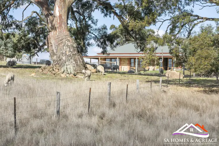 Main view of Homely rural property listing, 155 Vigars Road, Eden Valley SA 5235