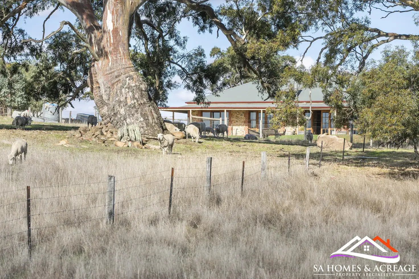 Main view of Homely rural property listing, 155 Vigars Road, Eden Valley SA 5235