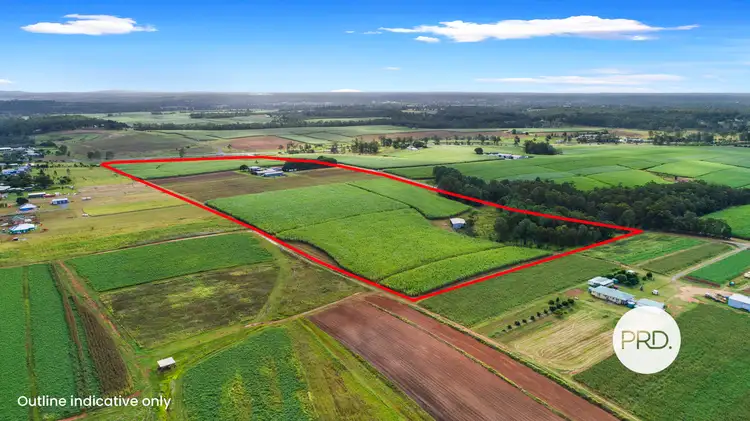 Sixth view of Homely rural property listing, 34 Four Mile Road East, Tinana South QLD 4650