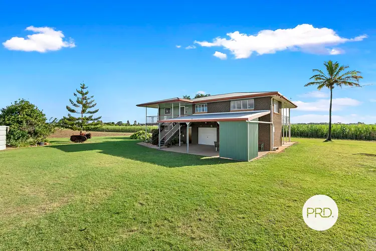 Seventh view of Homely rural property listing, 34 Four Mile Road East, Tinana South QLD 4650