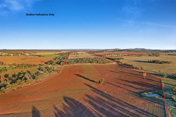 598 Lewes Road, Weethalle NSW 2669