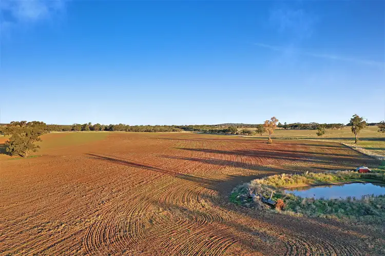 Second view of Homely rural property listing, 598 Lewes Road, Weethalle NSW 2669