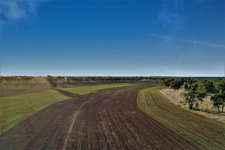 Third view of Homely rural property listing, 598 Lewes Road, Weethalle NSW 2669