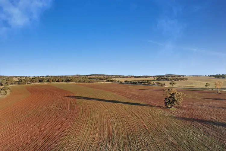 Fourth view of Homely rural property listing, 598 Lewes Road, Weethalle NSW 2669
