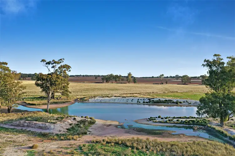 Fifth view of Homely rural property listing, 598 Lewes Road, Weethalle NSW 2669