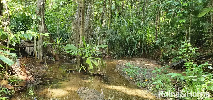 Sixth view of Homely land listing, Lot 13 Camelot Close, Cape Tribulation, Daintree QLD 4873