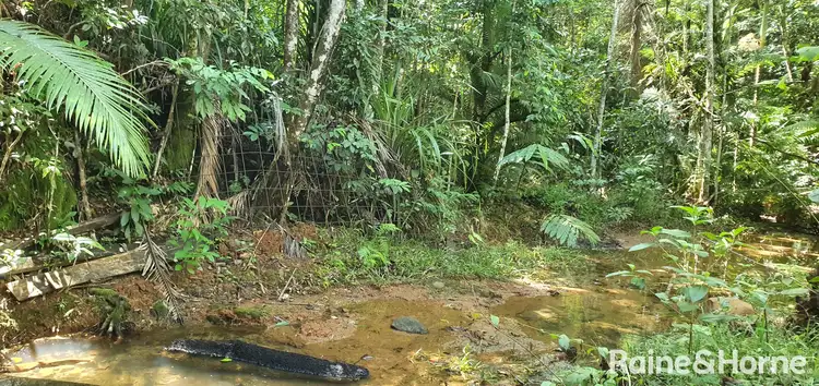 Seventh view of Homely land listing, Lot 13 Camelot Close, Cape Tribulation, Daintree QLD 4873