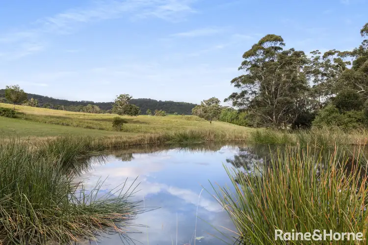 Fifth view of Homely house listing, 50 Tullouch Road, Broughton Vale NSW 2535