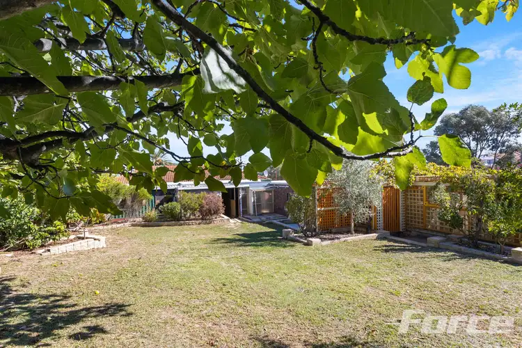 36 Felton Street, Balcatta WA 6021