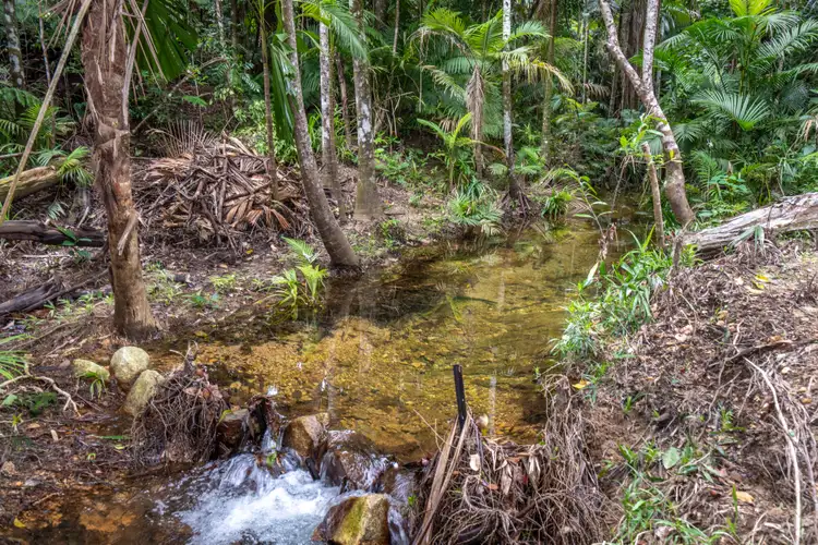 Fifth view of Homely land listing, 21 Waterfall Place, Jubilee Heights QLD 4860