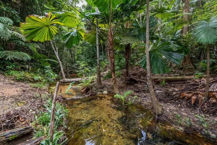 Seventh view of Homely land listing, 21 Waterfall Place, Jubilee Heights QLD 4860