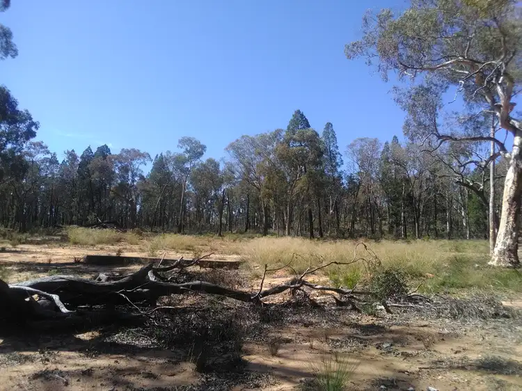 Second view of Homely land listing, 9295 Newell HIghway, Coonabarabran NSW 2357