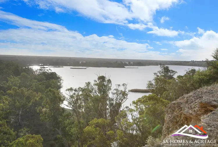 Second view of Homely rural property listing, 31W Nildottie Road, Swan Reach SA 5354