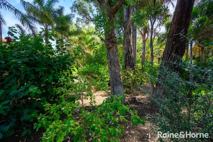 Seventh view of Homely land listing, 3 Illyarrie Avenue, Falcon WA 6210