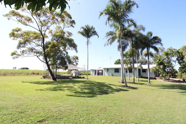 Main view of Homely house listing, 394 Anabranch Road, Jarvisfield QLD 4807