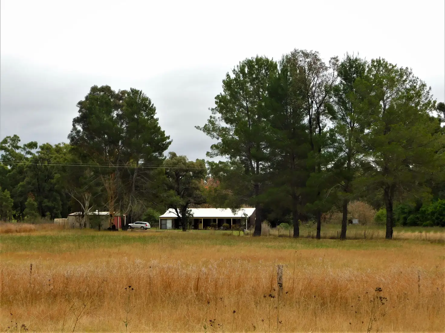 Main view of Homely rural property listing, 590 Timor Road, Coonabarabran NSW 2357