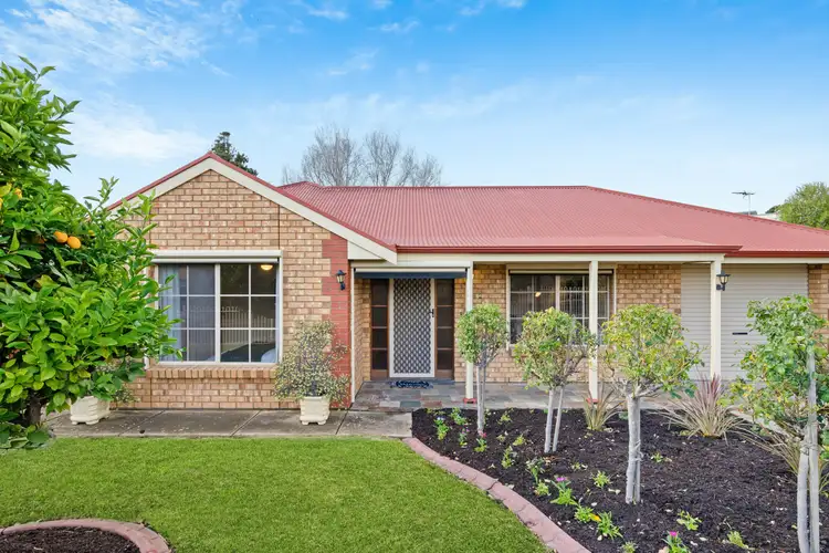 6 Mataro Avenue, Mclaren Vale SA 5171