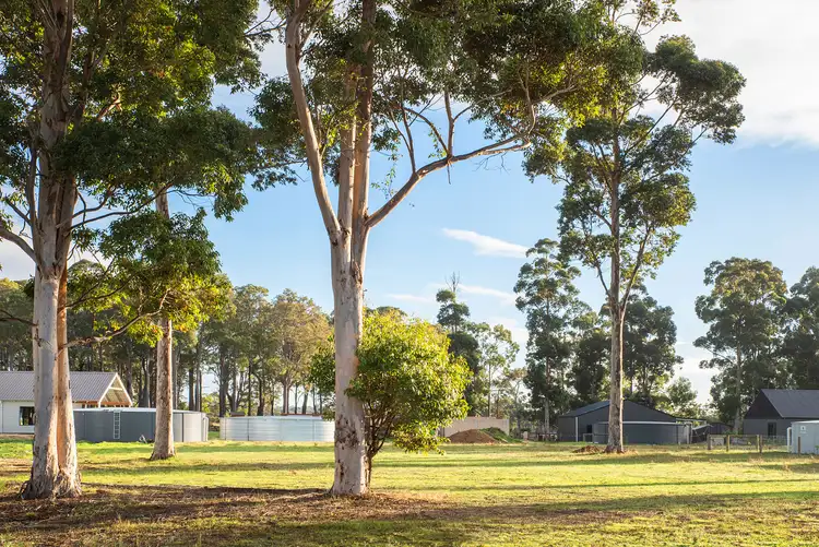 Third view of Homely land listing, 39 Tallwood Loop, Witchcliffe WA 6286
