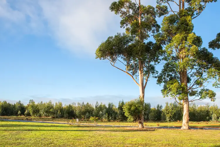 Fifth view of Homely land listing, 39 Tallwood Loop, Witchcliffe WA 6286