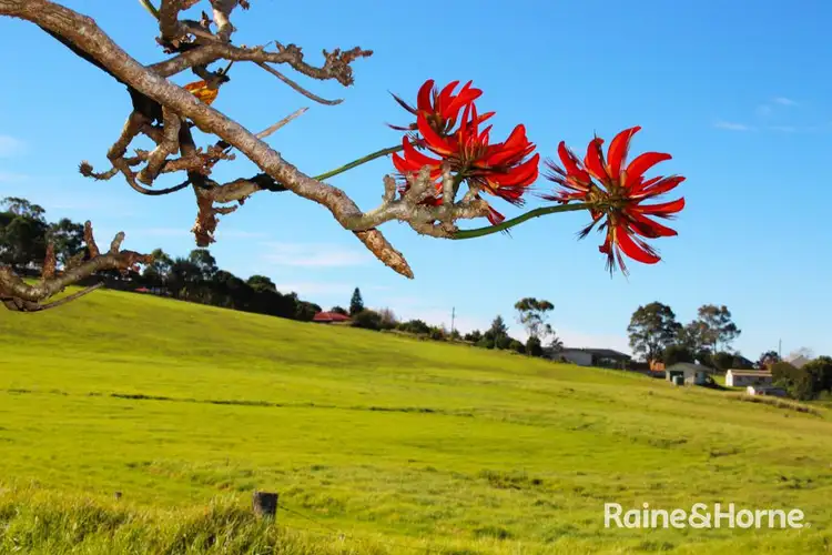 Second view of Homely land listing, Lot 506 Hilder Close, Milton NSW 2538